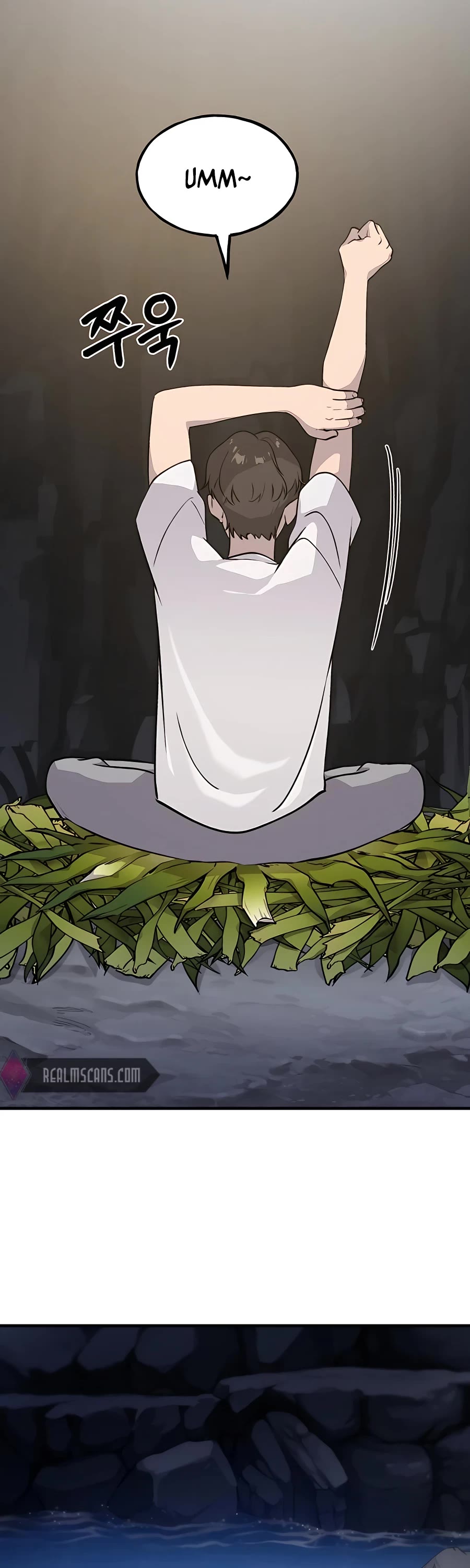 Solo Farming in the Tower Chapter 4 page 3 - Chapter 4