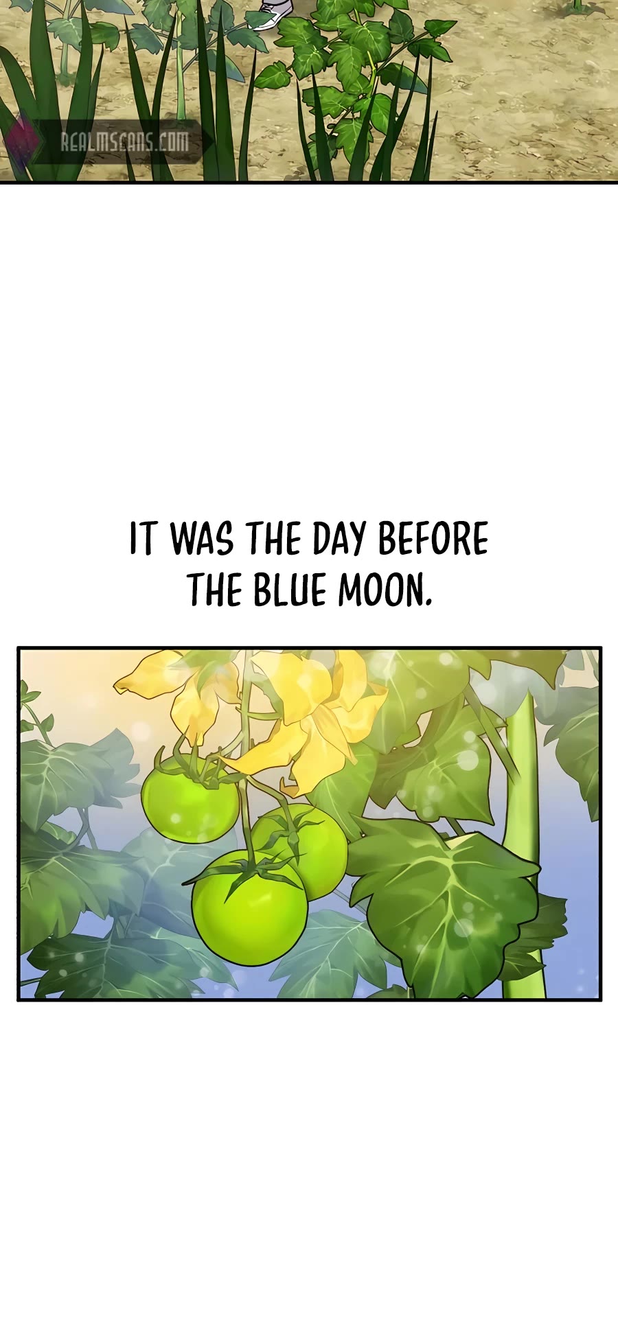 Solo Farming in the Tower Chapter 4 page 39 - Chapter 4