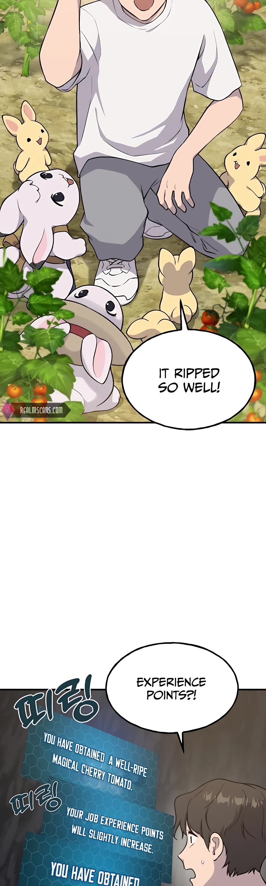 Solo Farming in the Tower Chapter 6 page 36 - Chapter 6