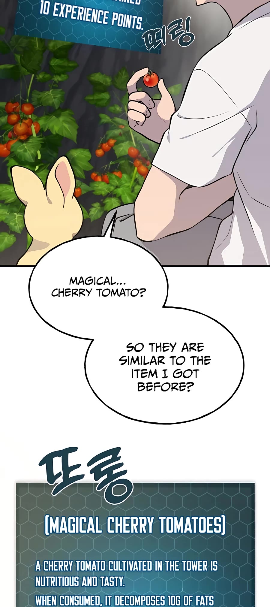 Solo Farming in the Tower Chapter 6 page 37 - Chapter 6