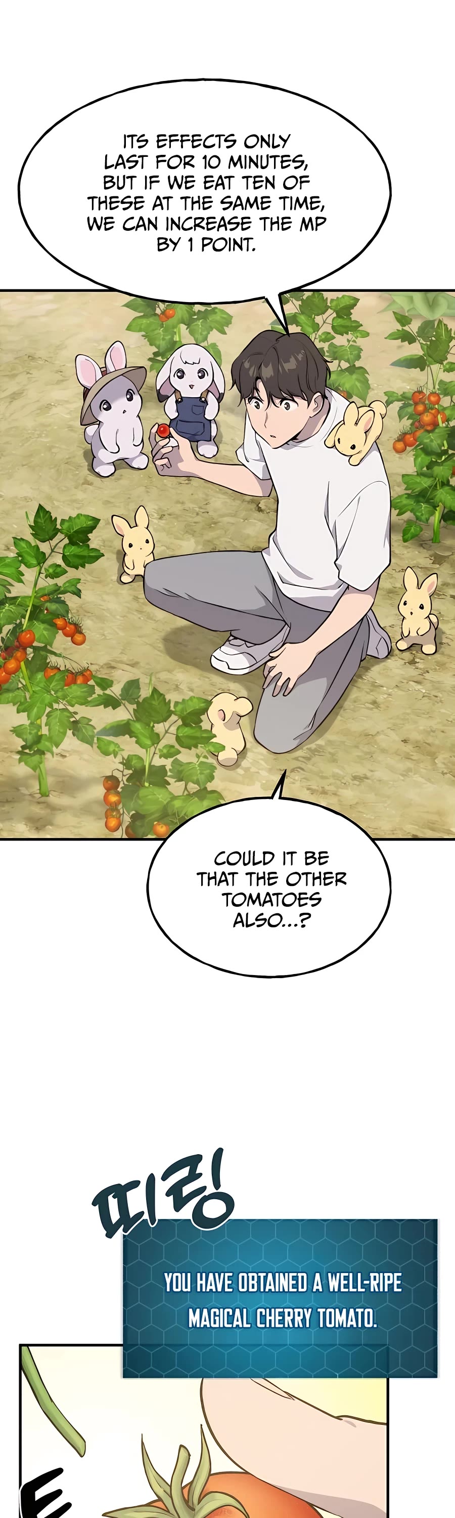 Solo Farming in the Tower Chapter 6 page 39 - Chapter 6