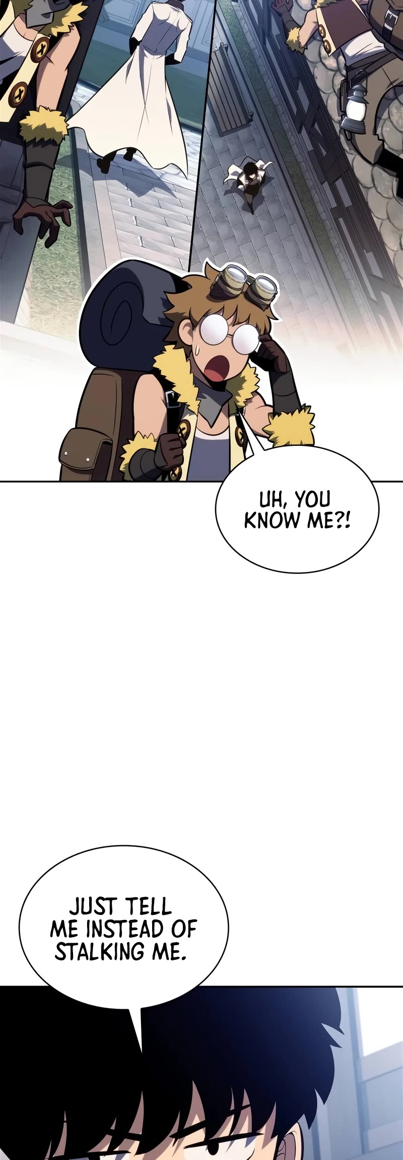 Solo Max-Level Newbie Chapter 156 page 25 - Chapter 156: Great Explorer “Ferzis”
