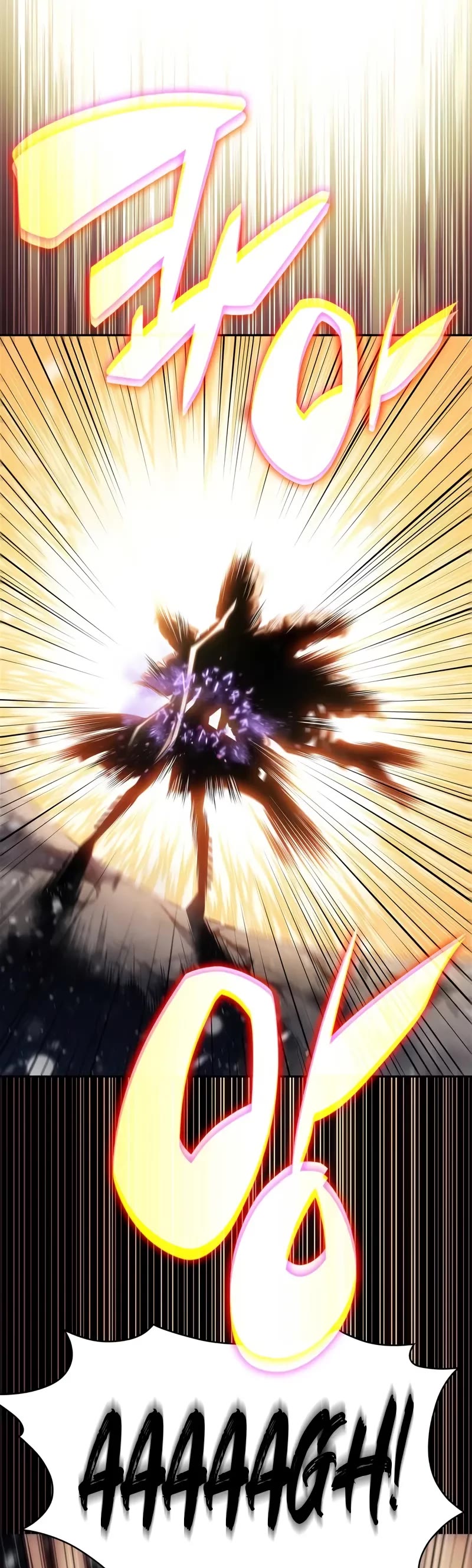 Solo Max-Level Newbie Chapter 185 page 49 - Chapter 185: Something More Important Than Determination (2)