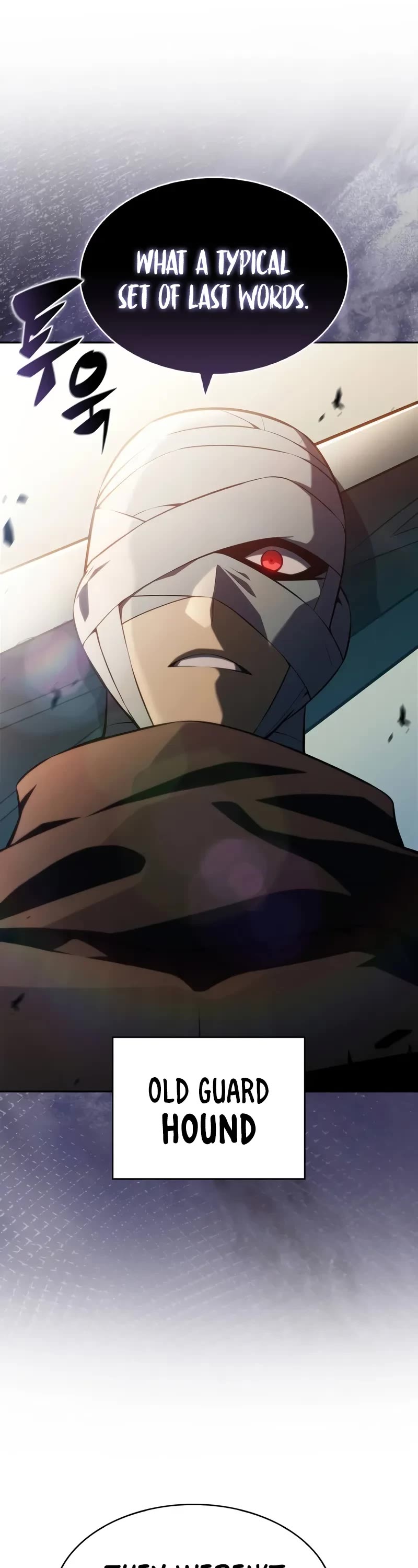 Solo Max-Level Newbie Chapter 218 page 12 - Chapter 218: Old Guard (1)