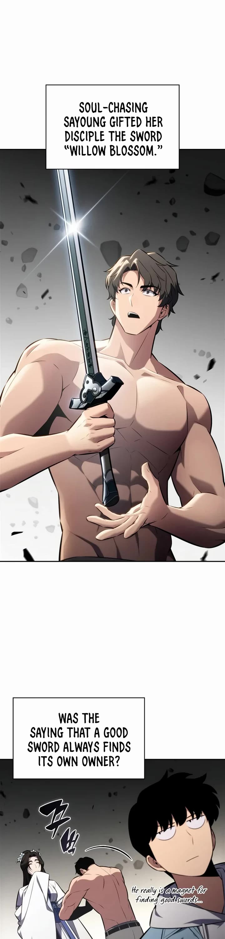 Solo Max-Level Newbie Chapter 244 page 27 - Chapter 244: Two Masters, Two Disciples