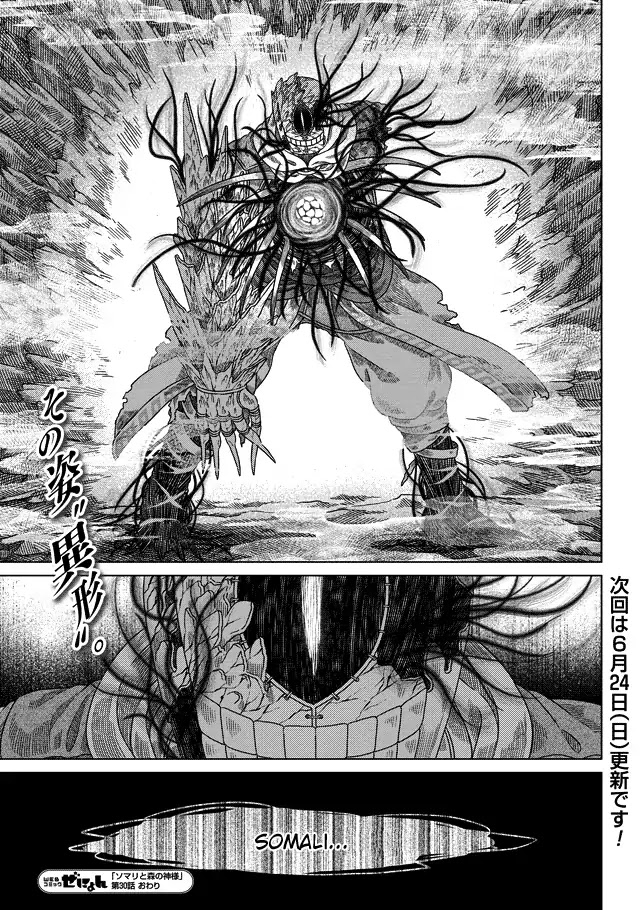 Somali to Mori no Kami-sama Chapter 30 page 31 - Chapter 30: Expounding the Abnormal