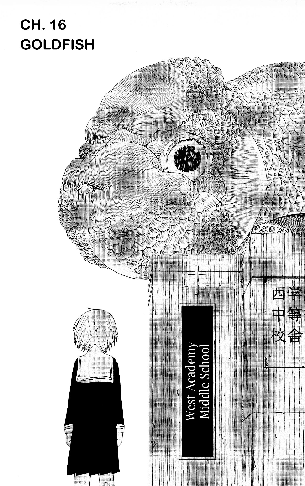 Sora ga Haiiro dakara Chapter 16 page 1 - Chapter 16: Goldfish