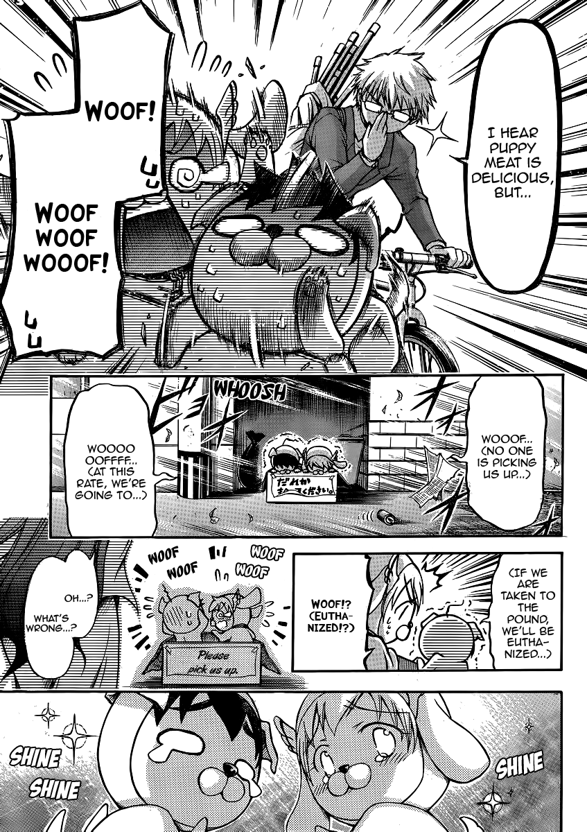 Sora no Otoshimono Chapter 48 page 17 - Chapter 48: Stray Dogs!!