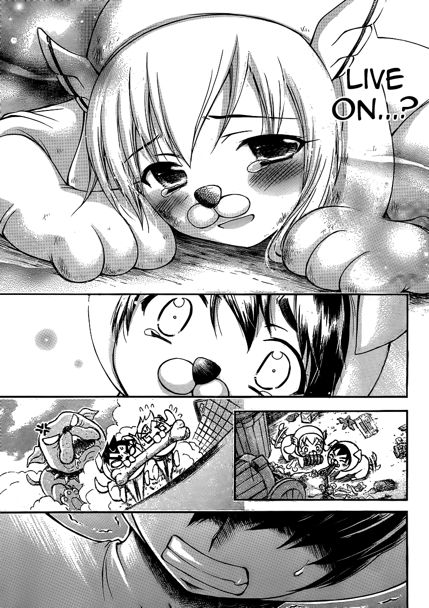 Sora no Otoshimono Chapter 48 page 31 - Chapter 48: Stray Dogs!!