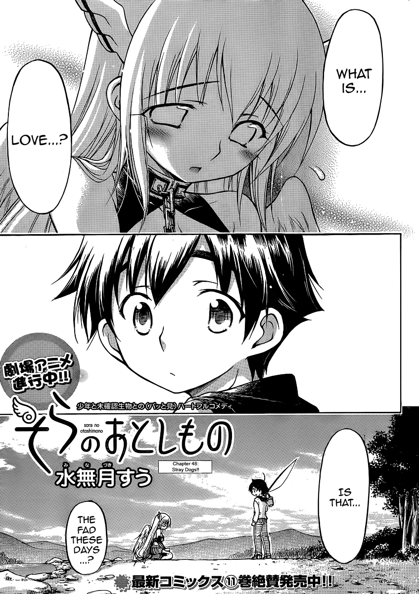 Sora no Otoshimono Chapter 48 page 5 - Chapter 48: Stray Dogs!!