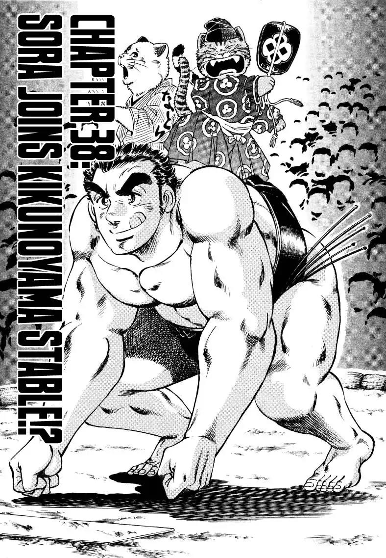 Sora yori Takaku (MIYASHITA Akira) Chapter 38 page 1 - Chapter 38: Sora Joins Kikunoyama Stable!?