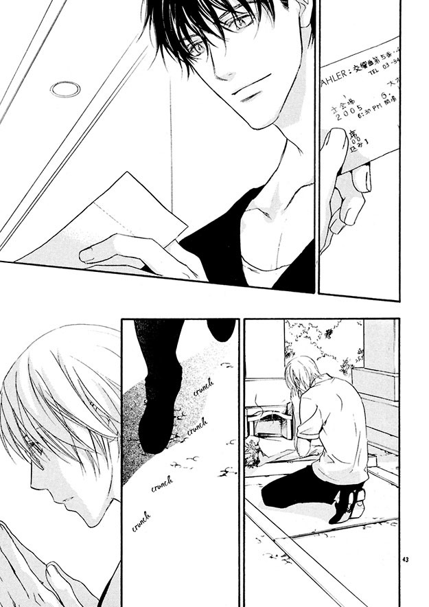Sore wa Isshun no Hikari, dewanaku Chapter 3 page 43 - Chapter 3