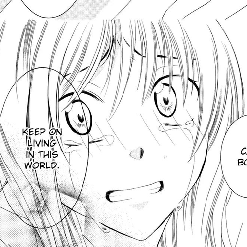 Soredemo Sekai wa Utsukushii Chapter 28 : Never End 2 cover