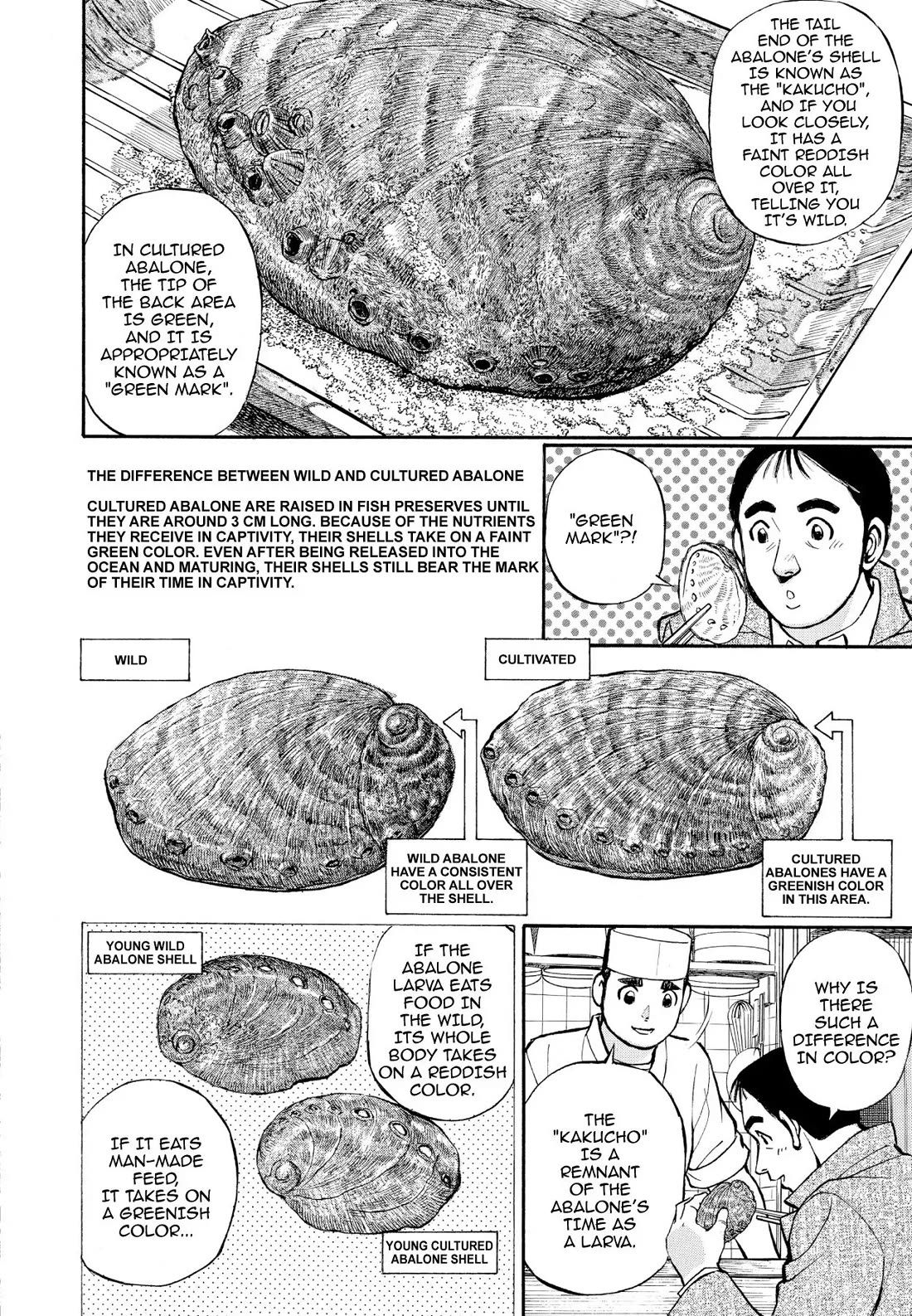 Sota's Knife Chapter 219 page 12 - Chapter 219