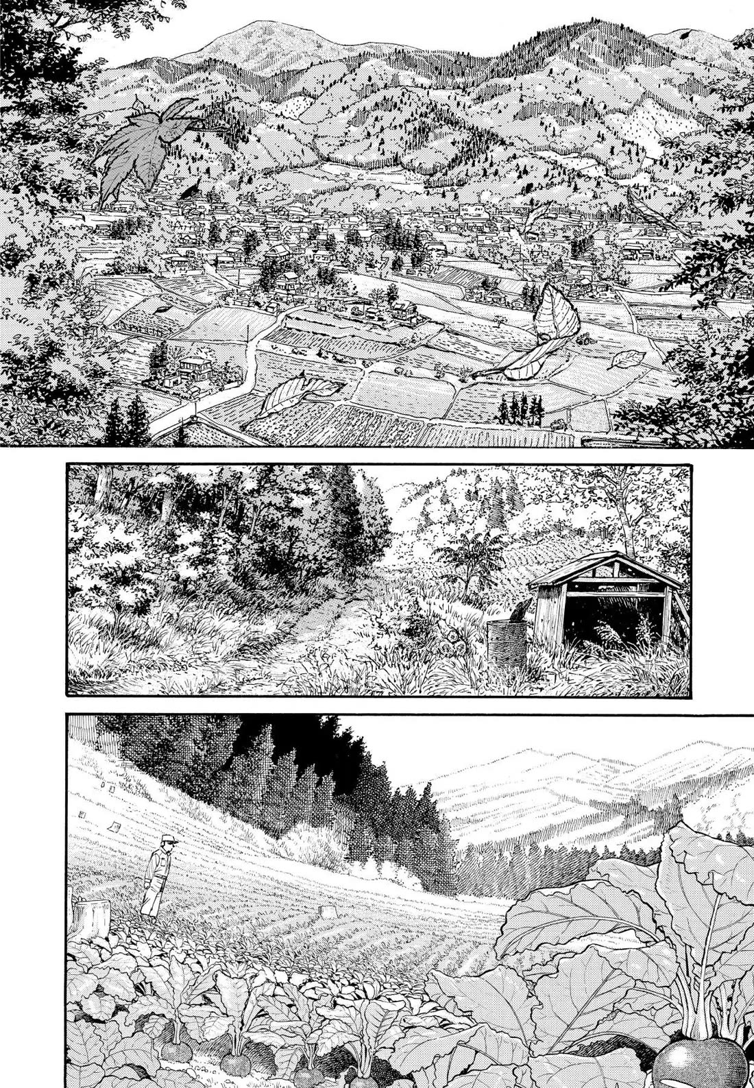 Sota's Knife Chapter 242 page 15 - Chapter 242