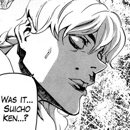 Soukoku no Garou - Hokuto no Ken Rei Gaiden Chapter 33: The Wild Bird Dances cover