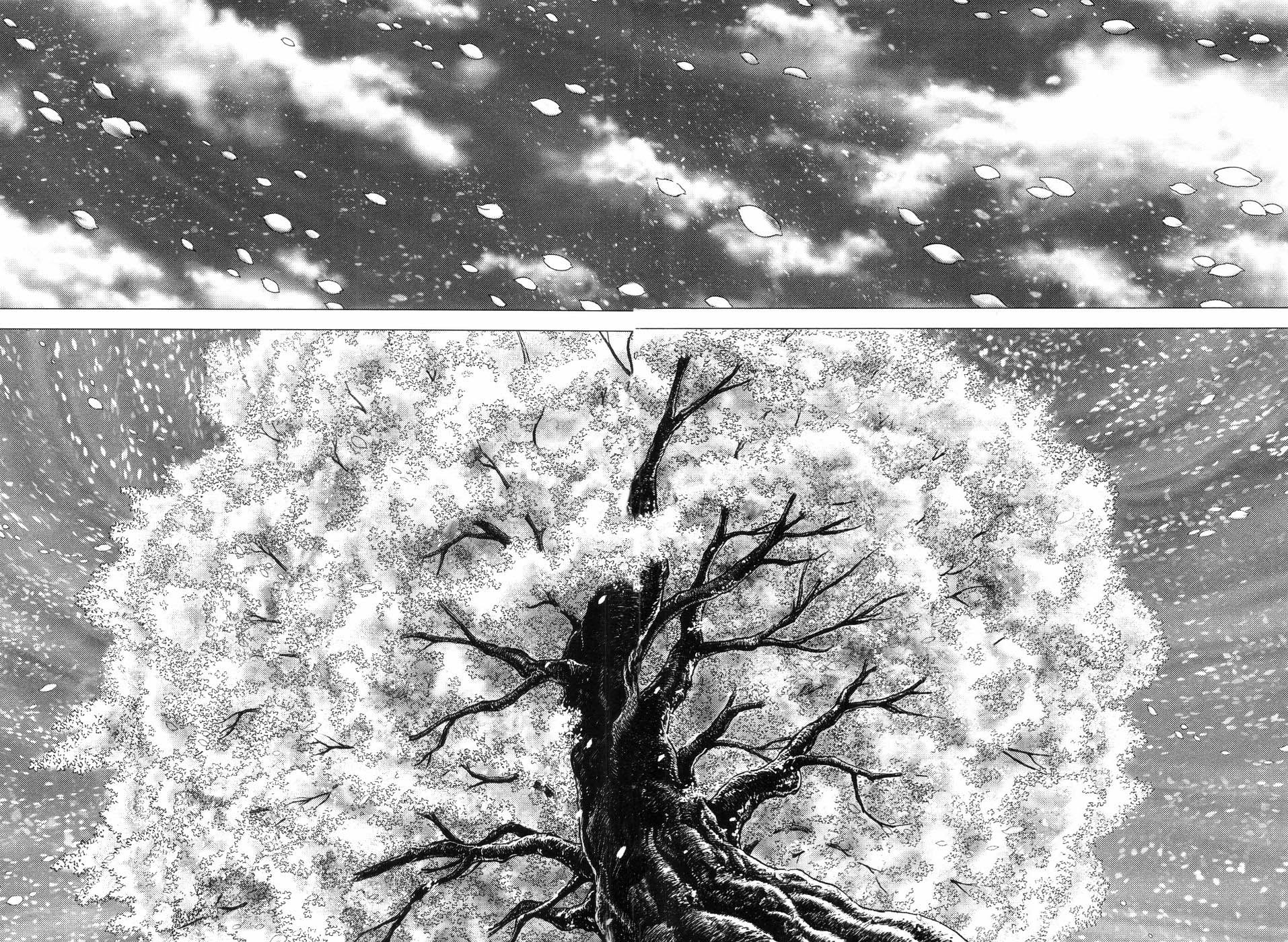 Souten no Ken Chapter 258 page 20 - Chapter 258: Conversation Under the Cherry Blossoms!!