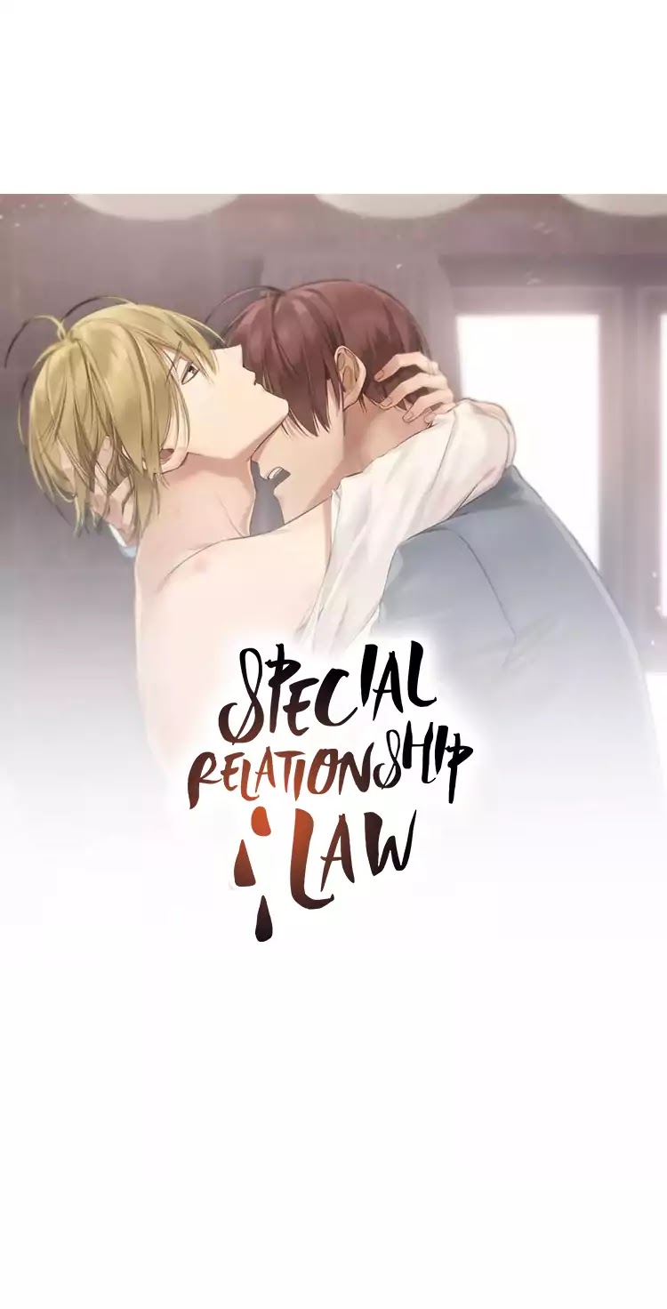 Special Relationship Law Chapter 1 page 2 - Chapter 1: His and My Him