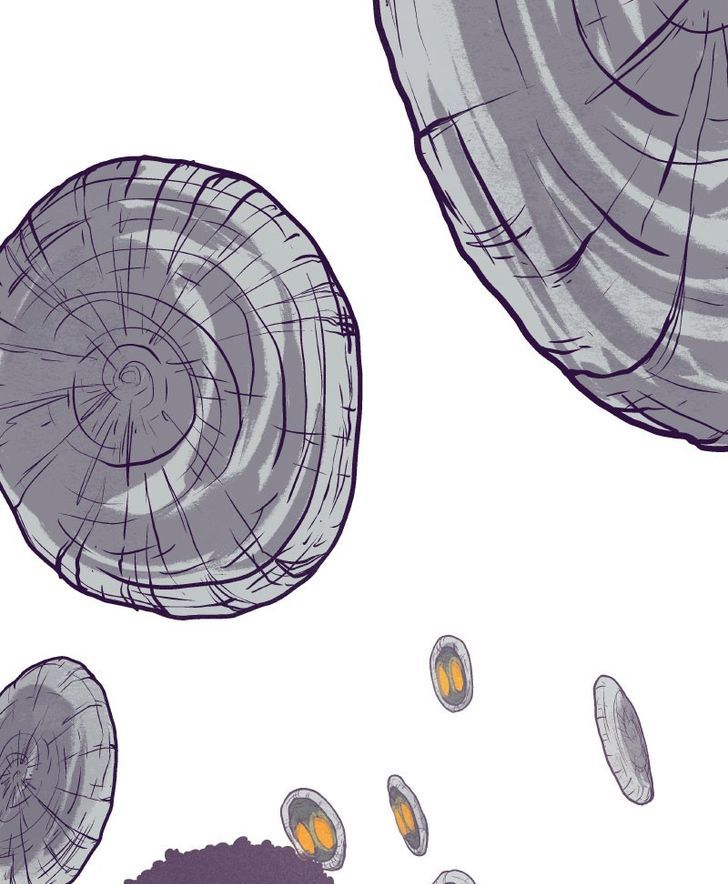 Spirits Chapter 27 page 18 - Chapter 27