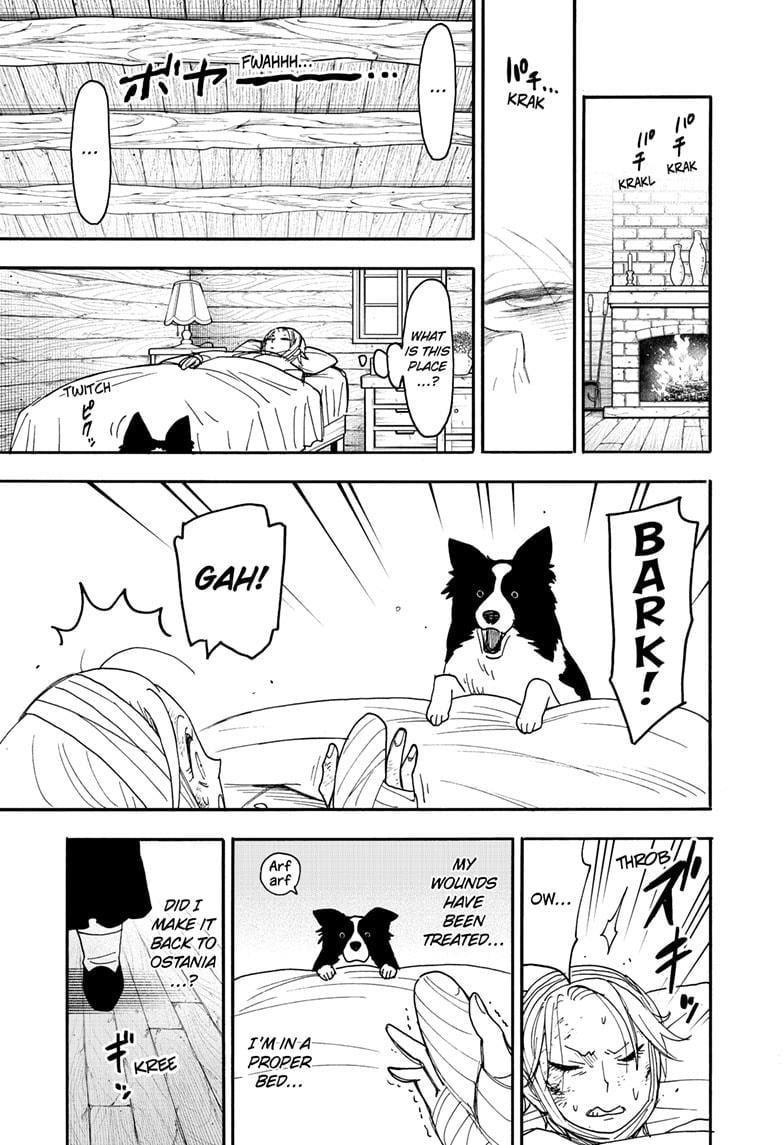 Spy x Family manga, chapter 100, page 7 of 17