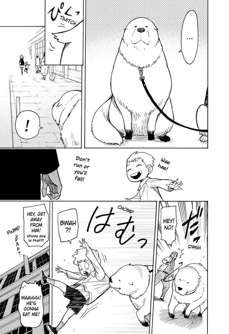 Spy x Family manga, chapter 18, page 17 of 27