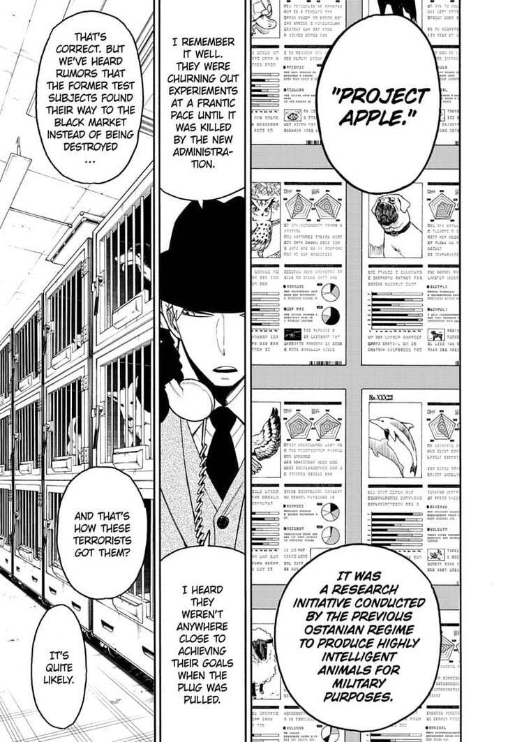 Spy x Family manga, chapter 19, page 7 of 21