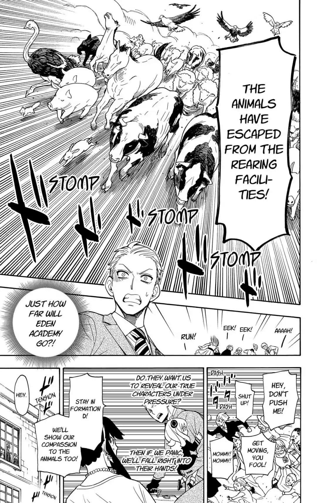 Spy x Family manga, chapter 4, page 17 of 25