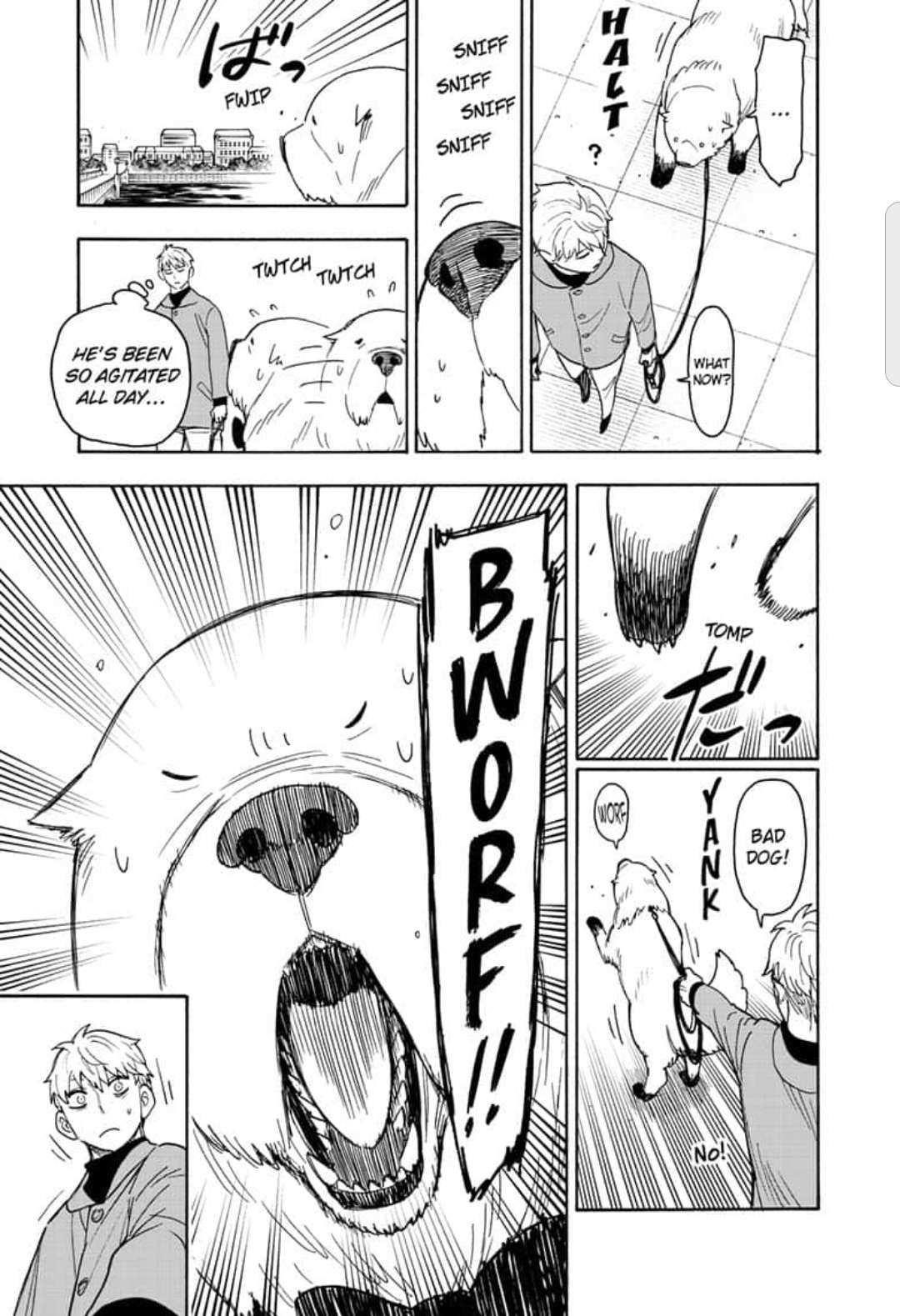 Spy x Family manga, chapter 58, page 13 of 18