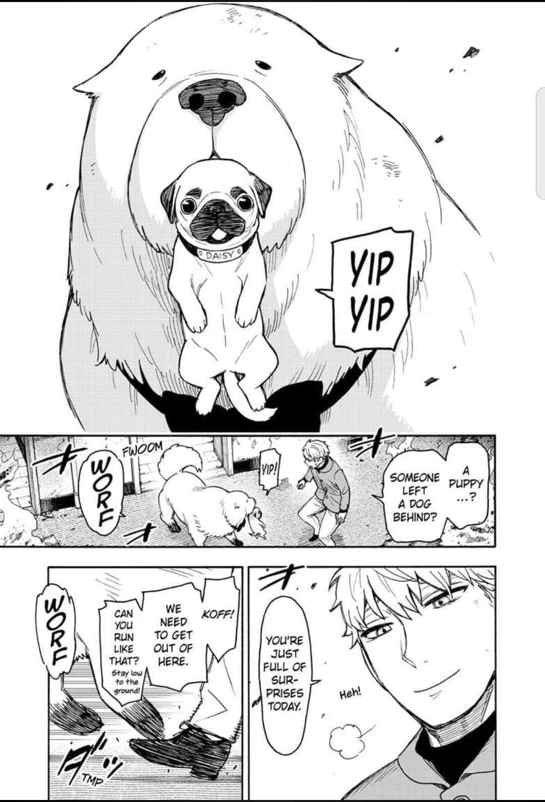 Spy x Family manga, chapter 58, page 17 of 18