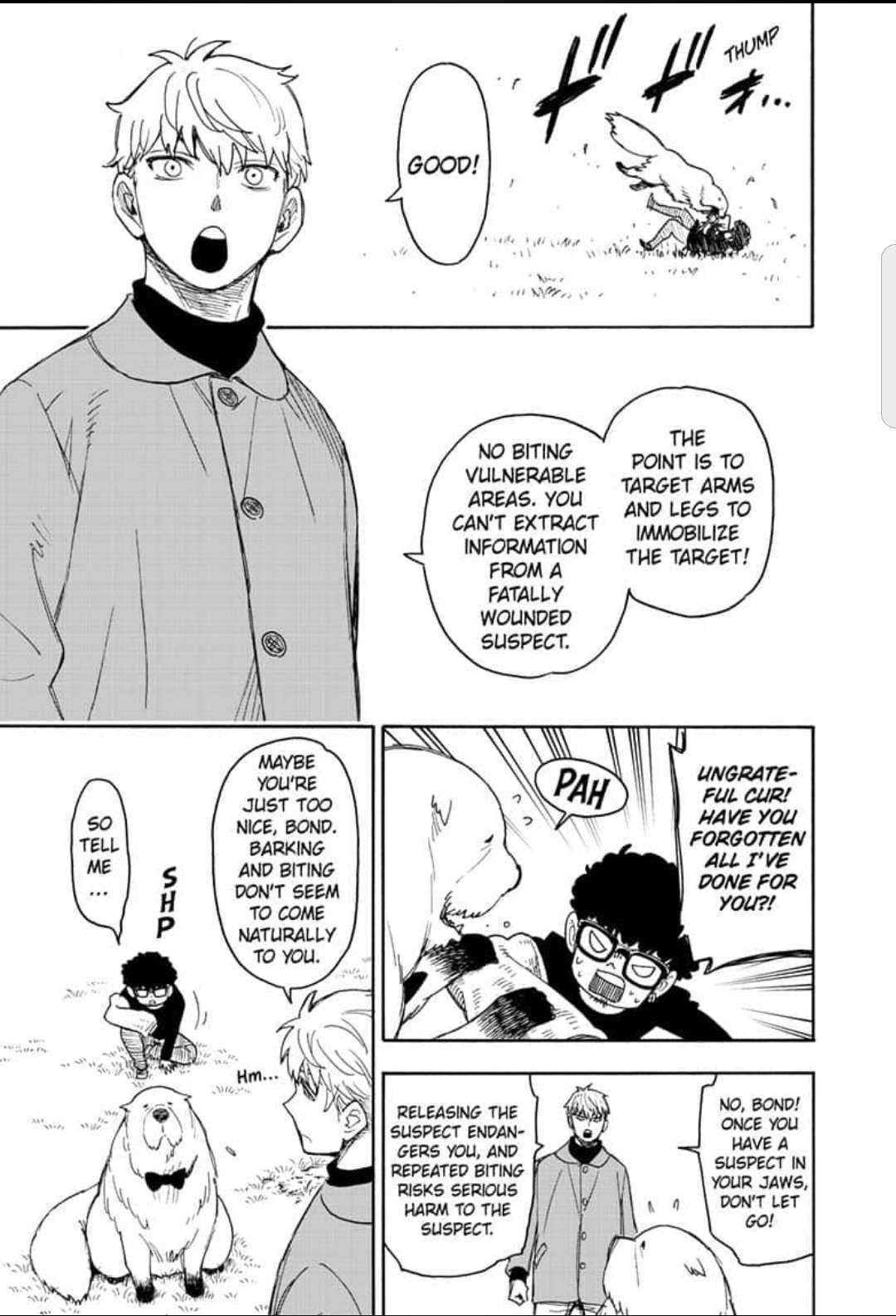 Spy x Family manga, chapter 58, page 3 of 18