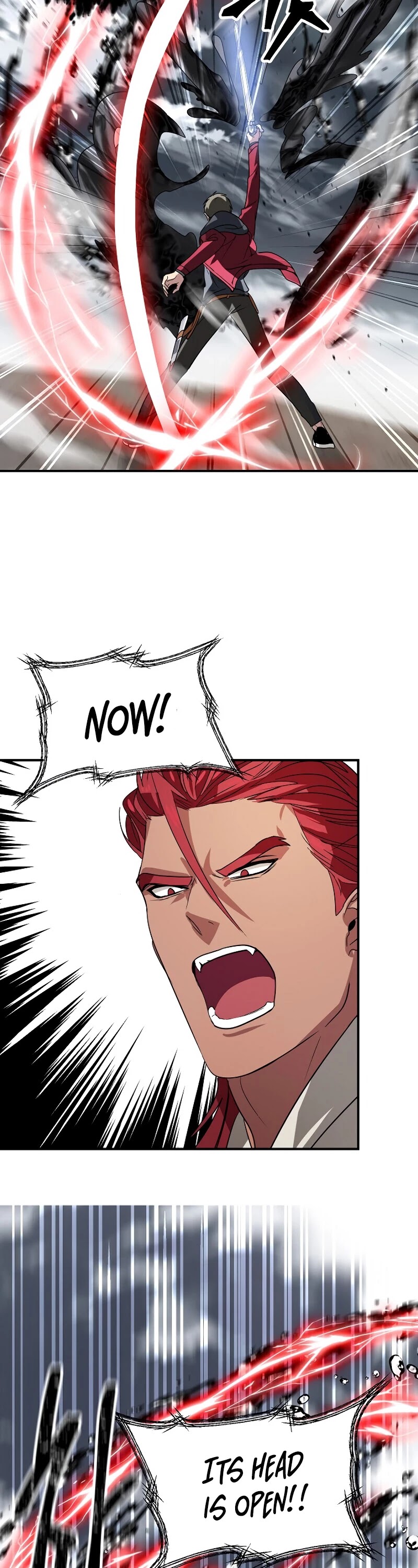 SSS-Class Suicide Hunter Chapter 39 page 30 - Chapter 39