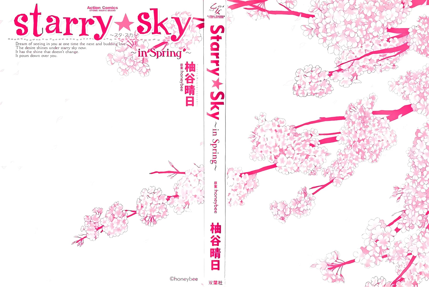 Starry Sky - In Spring Chapter 15 page 5 - Chapter 15: Author's Notes [END]