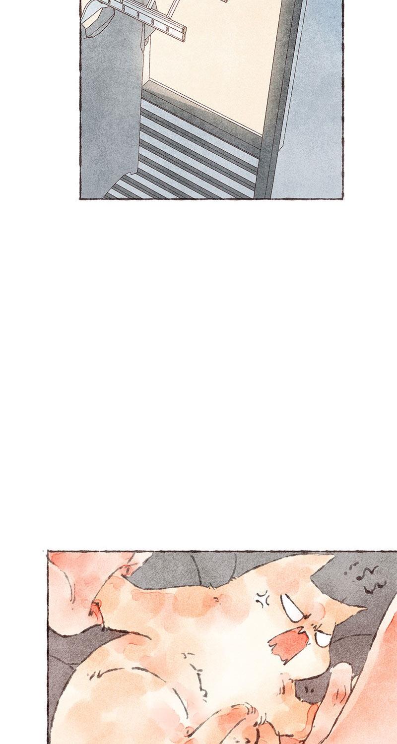 Starting With a Lie Chapter 37 page 24 - Chapter 37