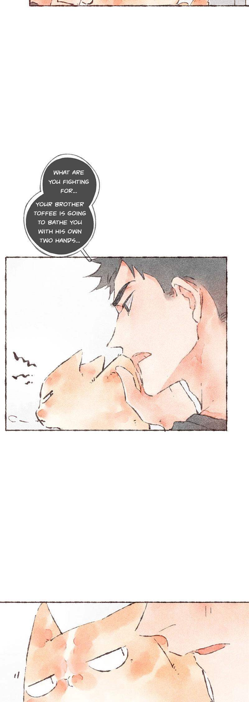 Starting With a Lie Chapter 37 page 27 - Chapter 37