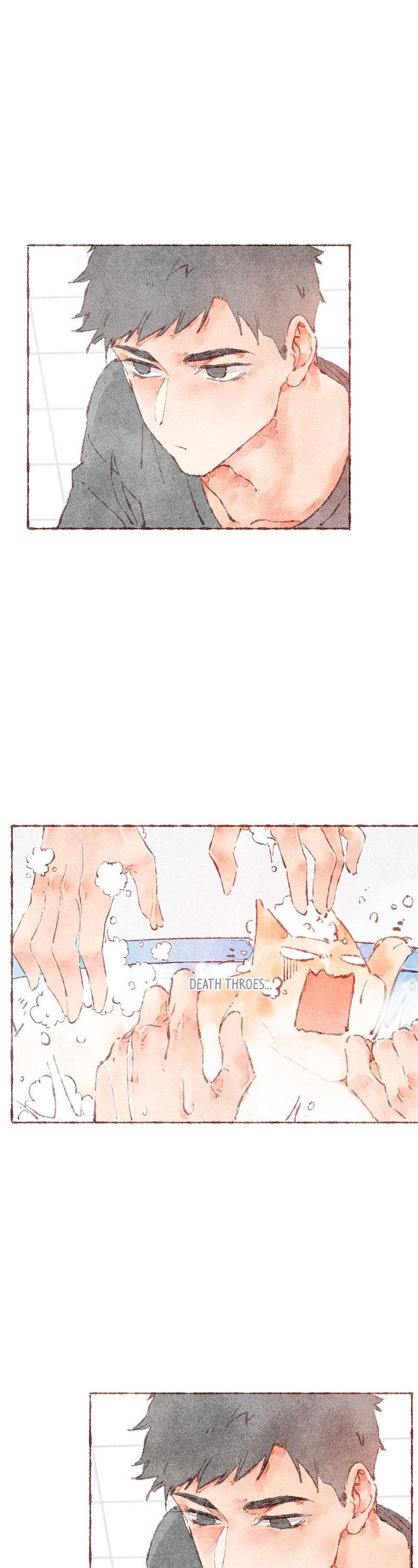 Starting With a Lie Chapter 38 page 14 - Chapter 38
