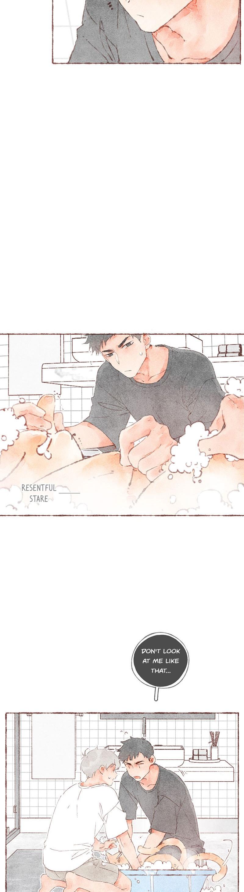 Starting With a Lie Chapter 38 page 15 - Chapter 38