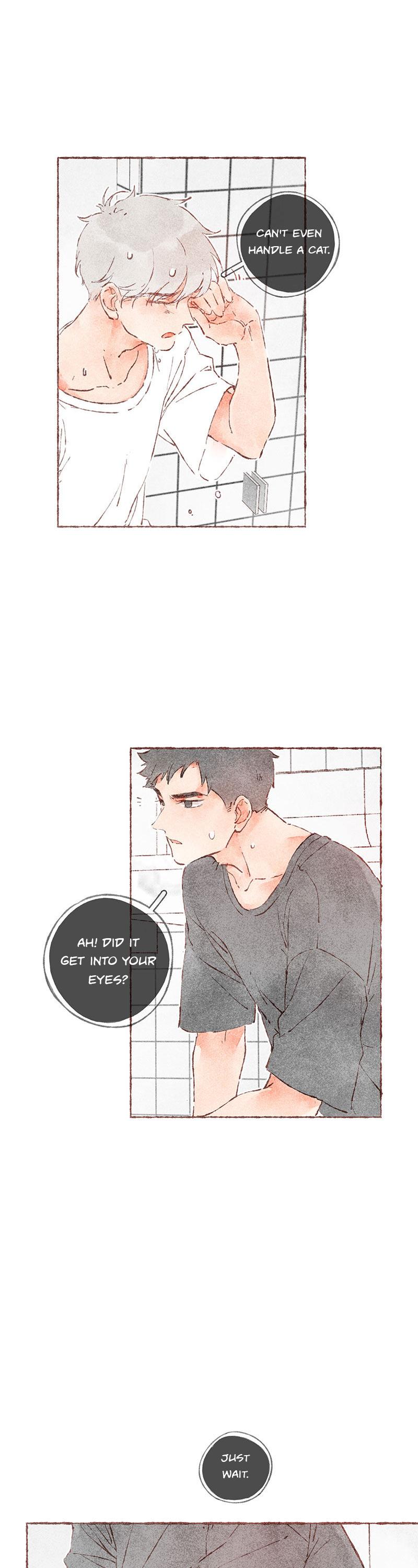Starting With a Lie Chapter 38 page 19 - Chapter 38