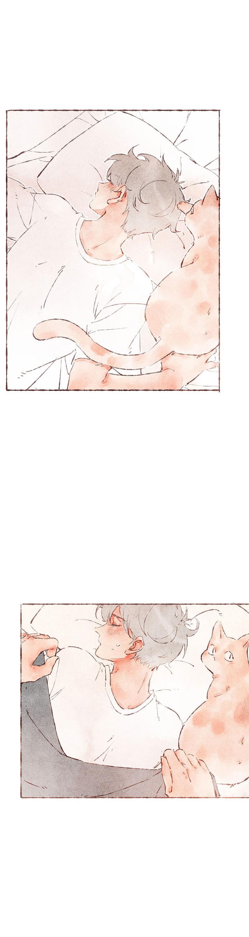 Starting With a Lie Chapter 41 page 13 - Chapter 41