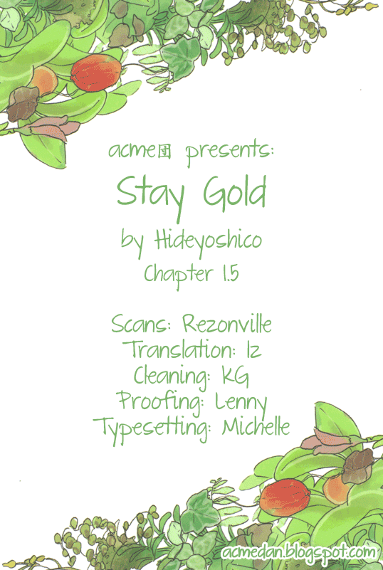 Stay Gold (Hideyoshico) Chapter 1.5 page 1 - Chapter 1.5