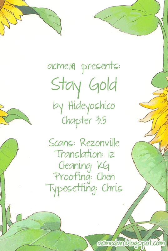 Stay Gold (Hideyoshico) Chapter 3.5 page 1 - Chapter 3.5