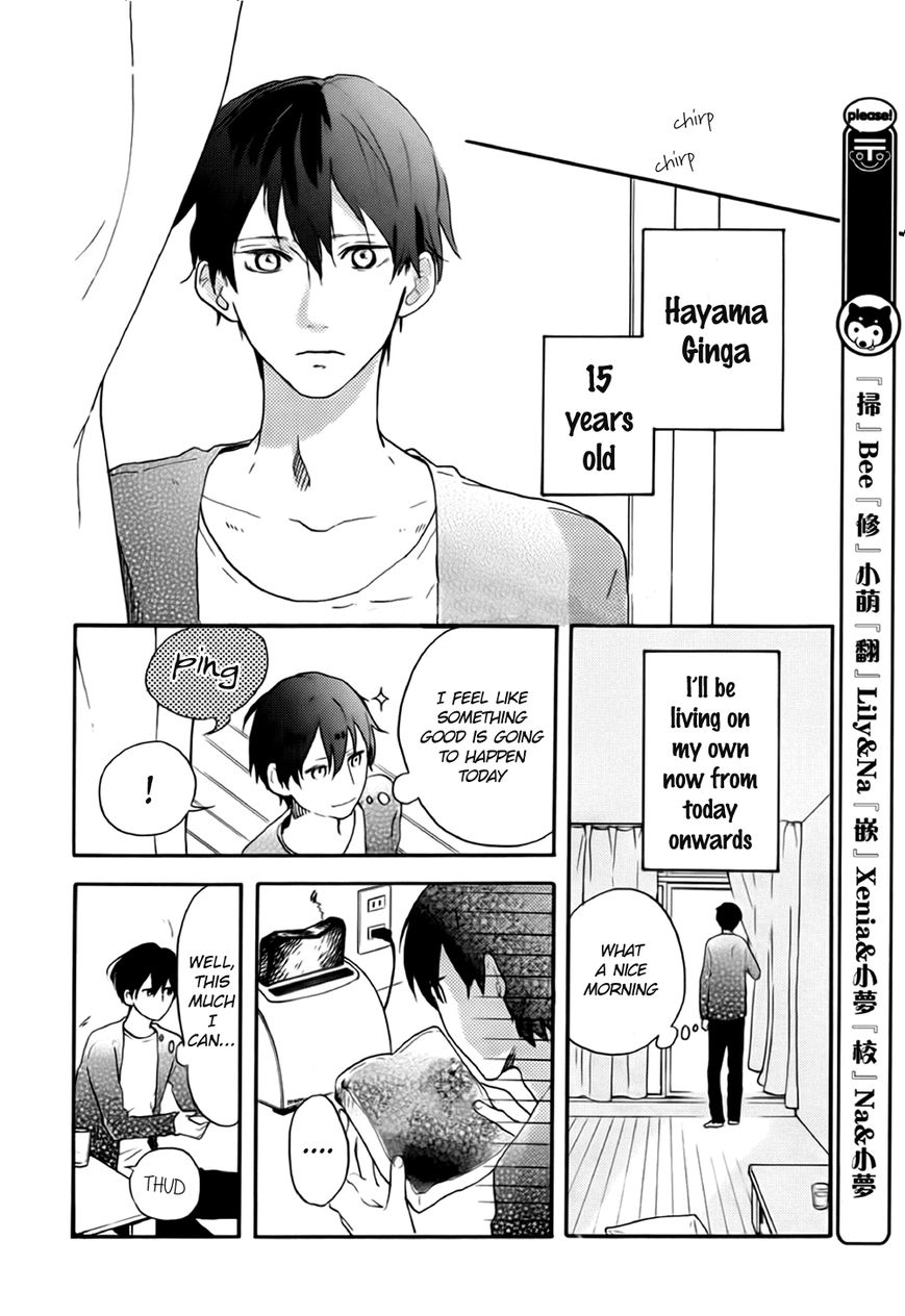 Stella to Mille Feuille Chapter 1 page 5 - Chapter 1