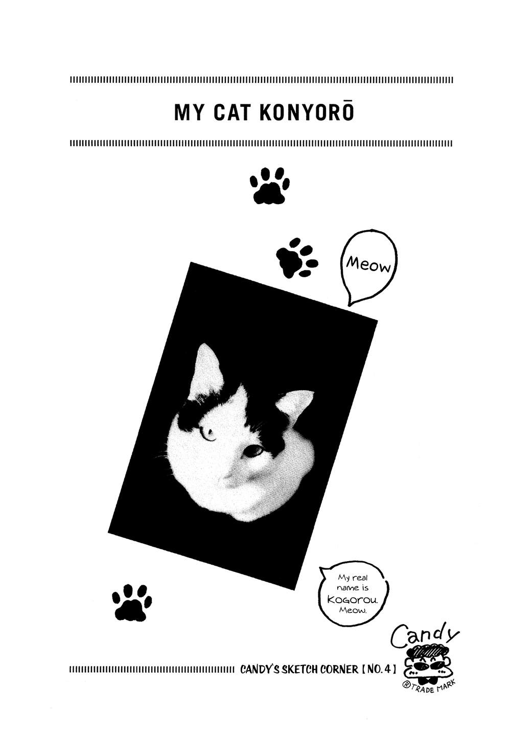 Stop!! Hibari-kun! Chapter 10 page 17 - Chapter 10: Put Love In the Ring!! 2