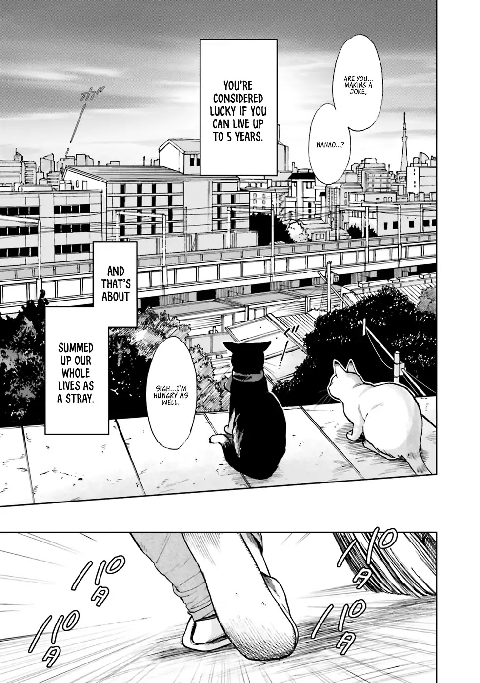 Story of Fifty Centimeters. Chapter 1 page 12 - Chapter 1