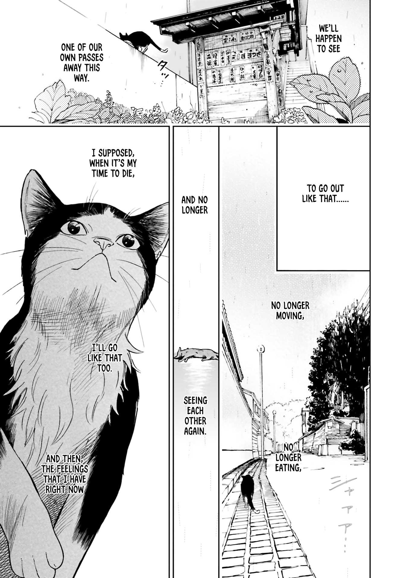 Story of Fifty Centimeters. Chapter 3 page 13 - Chapter 3