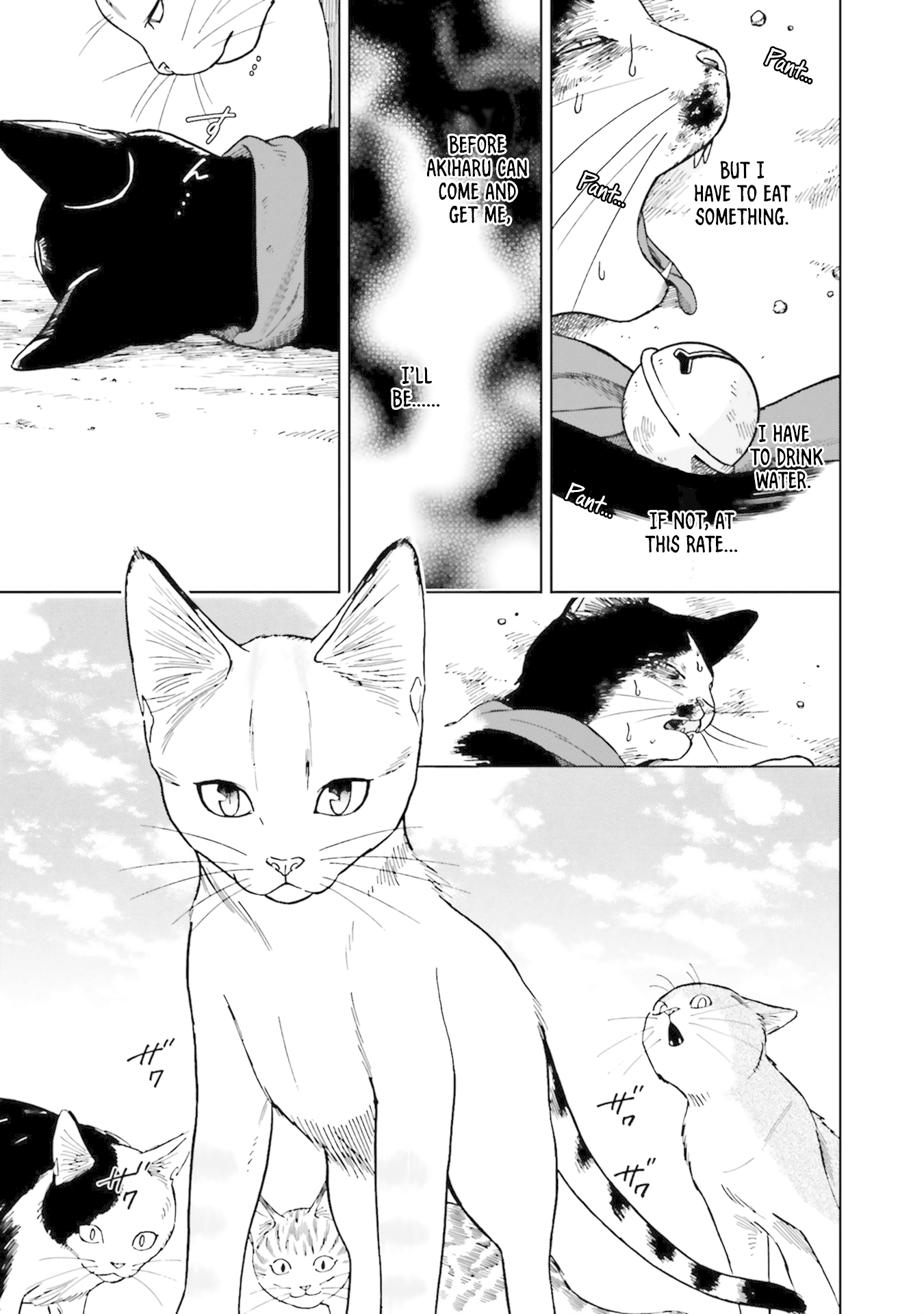 Story of Fifty Centimeters. Chapter 5 page 13 - Chapter 5