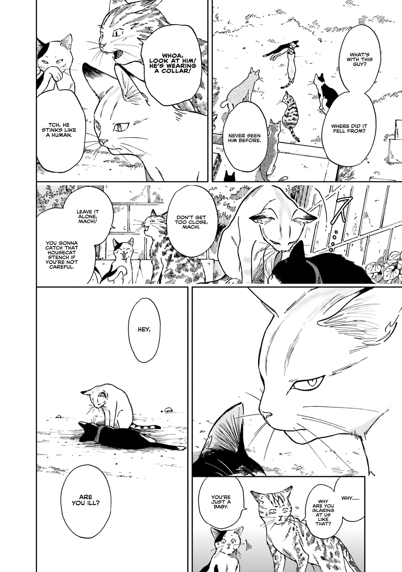 Story of Fifty Centimeters. Chapter 5 page 14 - Chapter 5