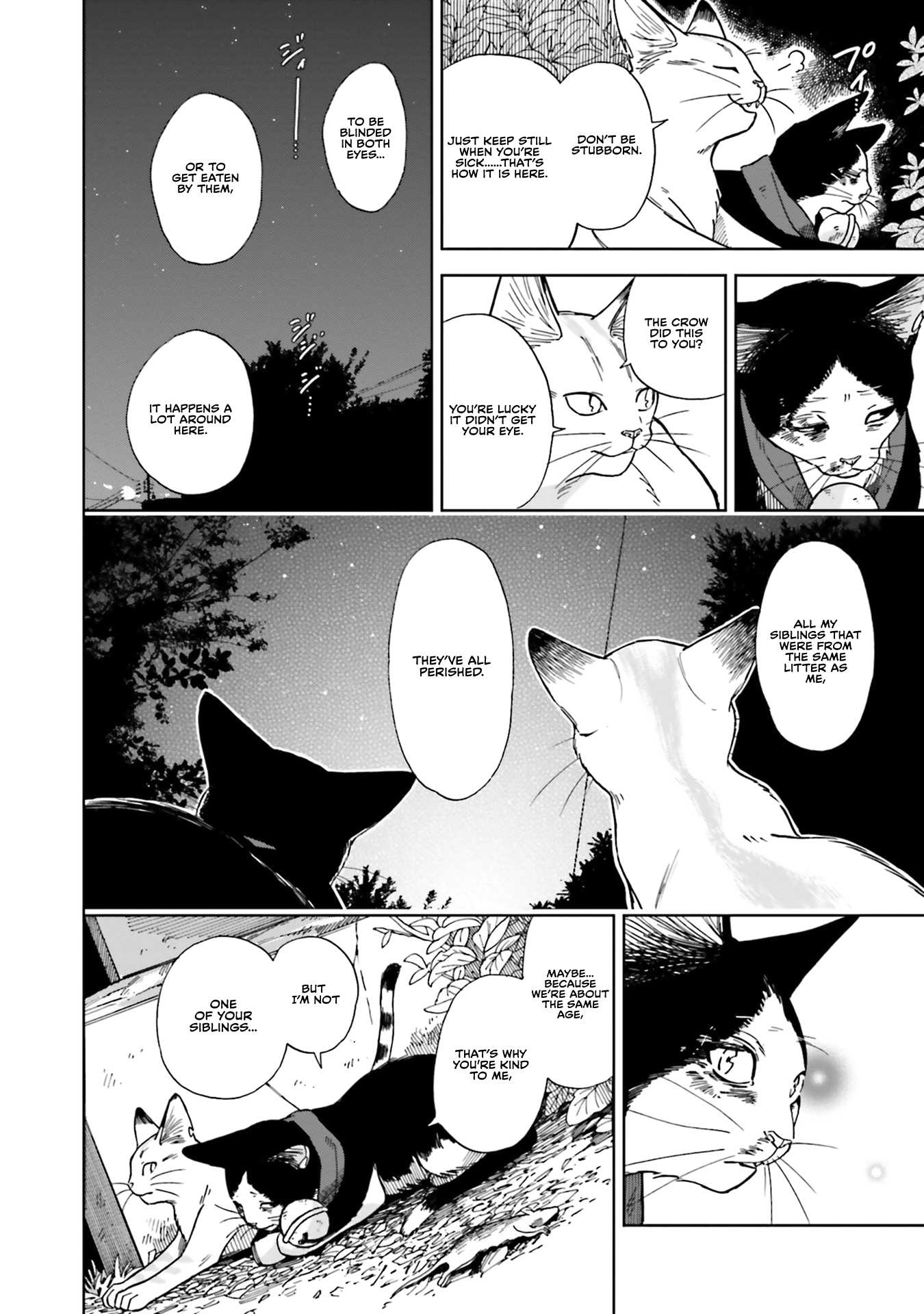 Story of Fifty Centimeters. Chapter 5 page 18 - Chapter 5