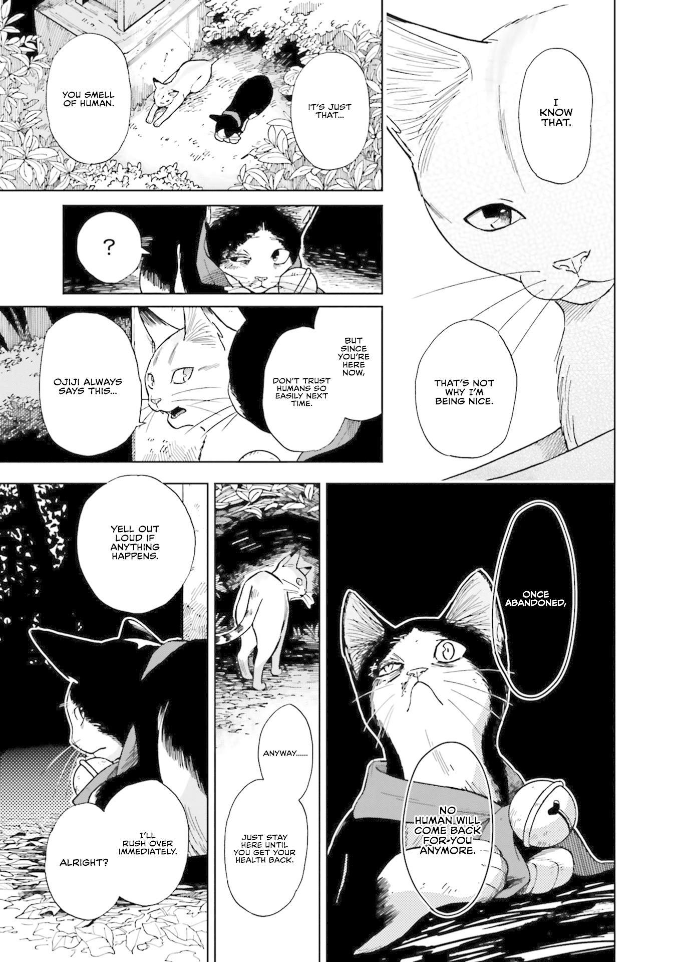 Story of Fifty Centimeters. Chapter 5 page 19 - Chapter 5