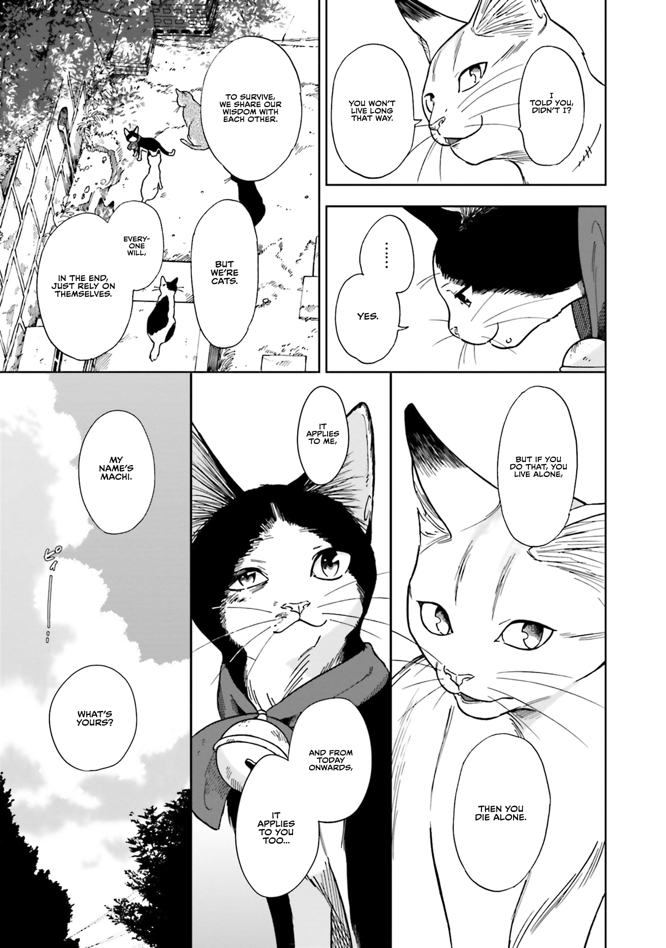 Story of Fifty Centimeters. Chapter 5 page 27 - Chapter 5