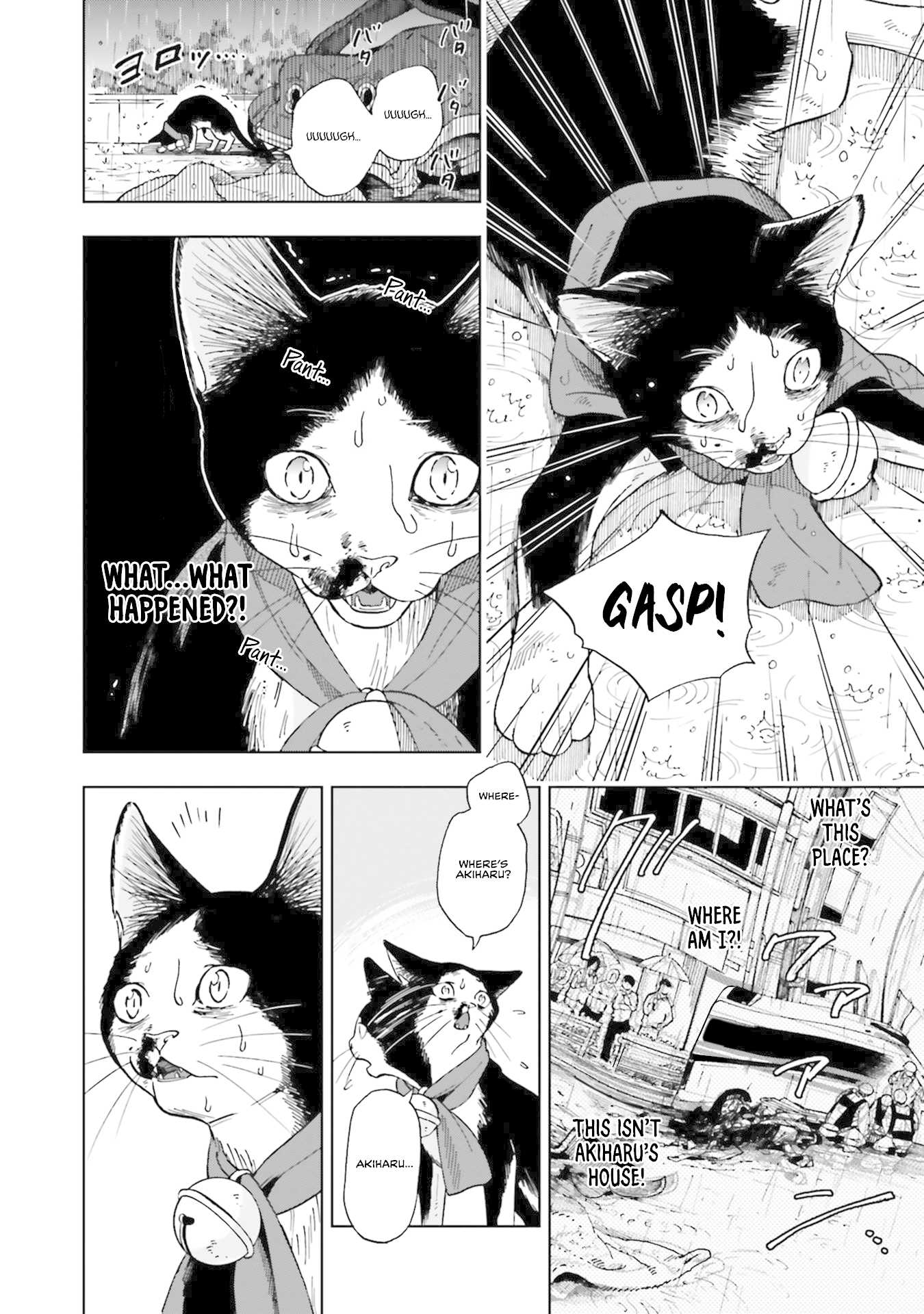 Story of Fifty Centimeters. Chapter 5 page 4 - Chapter 5
